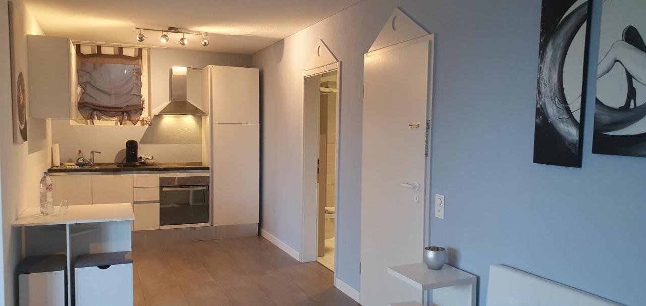 Appartement Am Bodensee Mit Seesicht Und Wellness Rorschacherberg